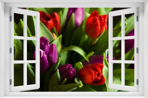 Fototapeta Naklejka Na Ścianę Okno 3D - Red and purple tulips