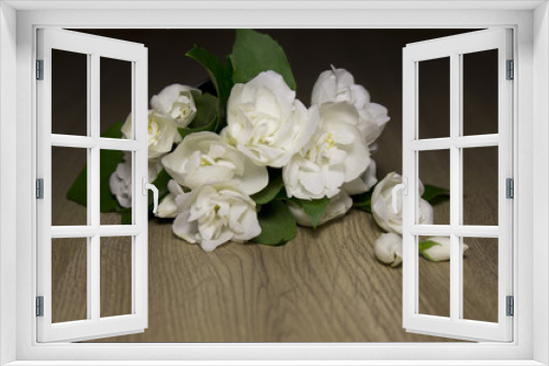 Fototapeta Naklejka Na Ścianę Okno 3D - jasmine flowers