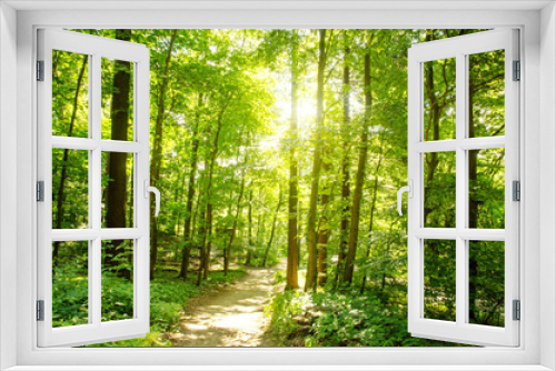 Fototapeta Naklejka Na Ścianę Okno 3D - Einladung zum Entspannen und Träumen: Wald im Frühling mit Morgensonne :)