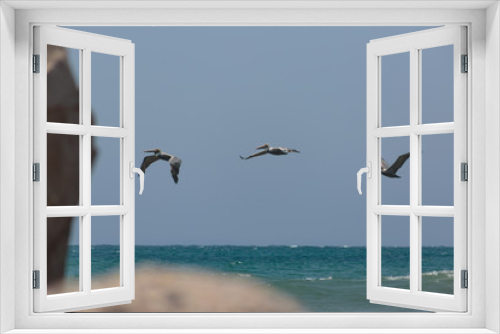 Fototapeta Naklejka Na Ścianę Okno 3D - Birds