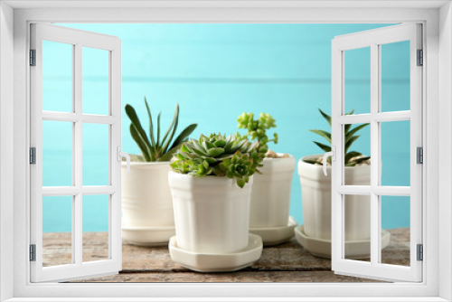 Fototapeta Naklejka Na Ścianę Okno 3D - Pots with succulents on blue background