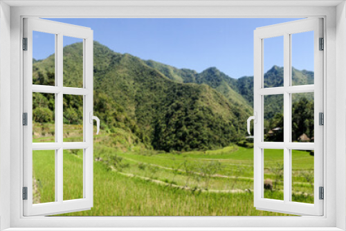 Fototapeta Naklejka Na Ścianę Okno 3D - Rice Terrrace