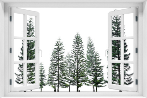 Fototapeta Naklejka Na Ścianę Okno 3D - pine tree isolated on white background