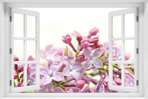 Fototapeta Naklejka Na Ścianę Okno 3D - Fliederblüten