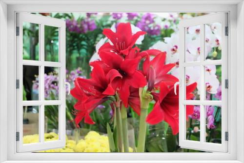Fototapeta Naklejka Na Ścianę Okno 3D - Red flowers