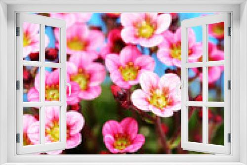 Fototapeta Naklejka Na Ścianę Okno 3D - little pink