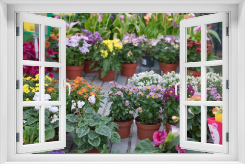 Fototapeta Naklejka Na Ścianę Okno 3D - flower shop