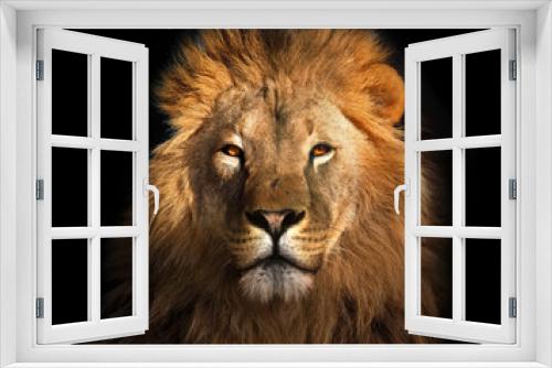 Fototapeta Naklejka Na Ścianę Okno 3D - Lion king isolated on black