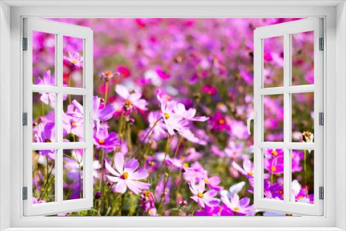 Fototapeta Naklejka Na Ścianę Okno 3D - Pink flower in morning time flower background.