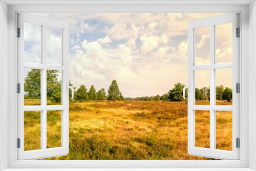 Fototapeta Naklejka Na Ścianę Okno 3D - Lüneburger Heide