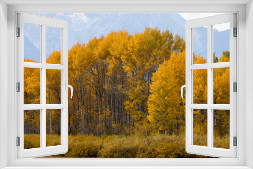 Fototapeta Naklejka Na Ścianę Okno 3D - Vibrant Yellow