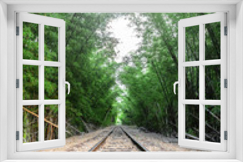 Fototapeta Naklejka Na Ścianę Okno 3D - Train track passing through bamboo forest
