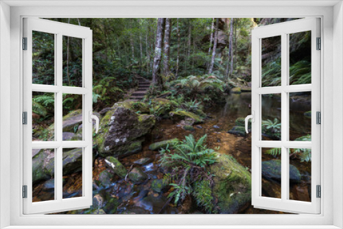 Fototapeta Naklejka Na Ścianę Okno 3D - Picturesque forest pond along Grand Canyon Walking Track, Austra