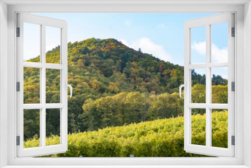 Fototapeta Naklejka Na Ścianę Okno 3D - Pfälzerwald im Herbst