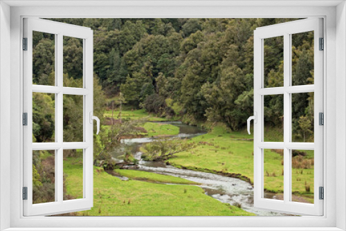 Fototapeta Naklejka Na Ścianę Okno 3D - Forest, New Zealand