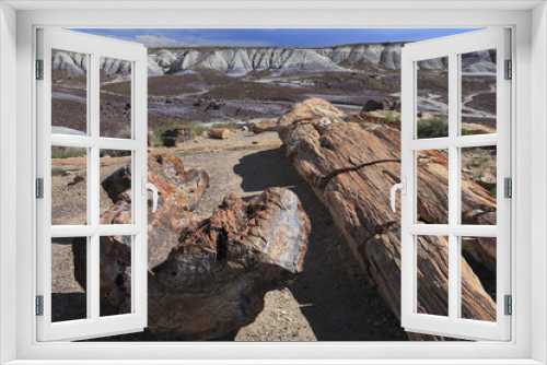 Fototapeta Naklejka Na Ścianę Okno 3D - Forêt Pétrifiée / Arizona / USA