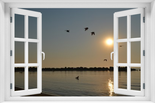 Fototapeta Naklejka Na Ścianę Okno 3D - Seagulls flying over Black Sea