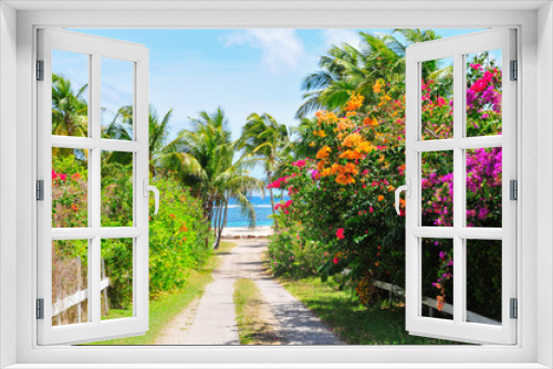 Fototapeta Naklejka Na Ścianę Okno 3D - Caribbean, the island of Nevis