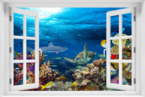 Fototapeta Naklejka Na Ścianę Okno 3D - colorful 16to9 underwater coral reef panorama with many fishes turtle shark and marine life 