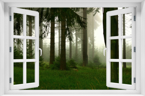 Fototapeta Naklejka Na Ścianę Okno 3D - wald und nebel