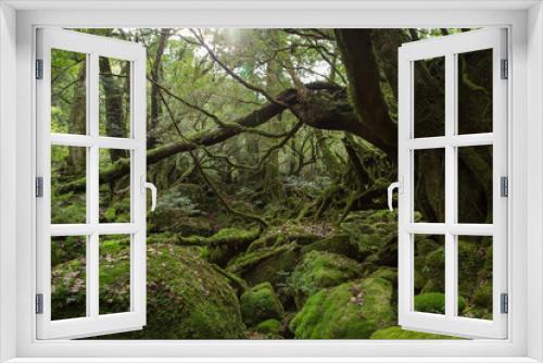 Fototapeta Naklejka Na Ścianę Okno 3D - 'Mononoke no Mori', Moss forest in Shiratani Unsuikyo, Yakushima Island, natural World Heritage Site in Japan