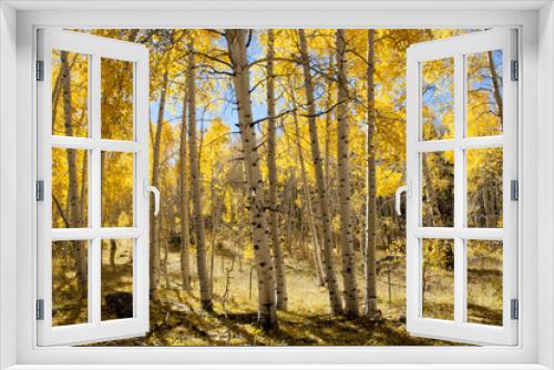Fototapeta Naklejka Na Ścianę Okno 3D - Aspen Autumn leaves yellow