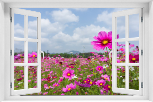 Fototapeta Naklejka Na Ścianę Okno 3D - Flower and natural bokeh for Background