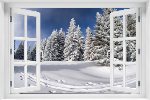 Fototapeta Naklejka Na Ścianę Okno 3D - Snowy fir trees and blue sky