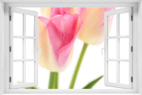 Fototapeta Naklejka Na Ścianę Okno 3D - Three pink tulips.