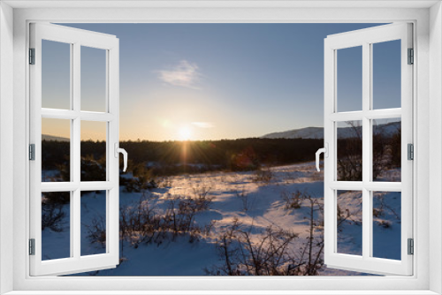 Fototapeta Naklejka Na Ścianę Okno 3D - Spectacular winter pine forest sunset