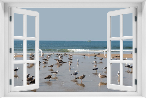 Fototapeta Naklejka Na Ścianę Okno 3D - Birds at sea.