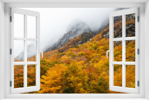 Fototapeta Naklejka Na Ścianę Okno 3D - Misty Vermont Mountainside in Autumn