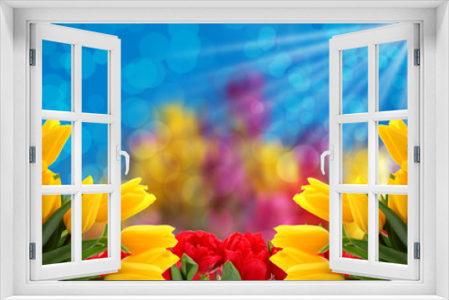 Fototapeta Naklejka Na Ścianę Okno 3D - Kwiaty a najlepiej tulipany to tło  na każdą okazje.