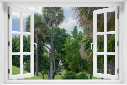 Fototapeta Naklejka Na Ścianę Okno 3D - A winding, twisting path, trail or walkway in a public park in Miami Beach, Florida sits amongst palm trees on a sunny summer day