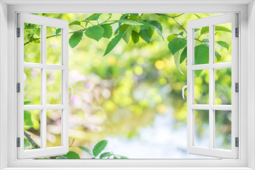 Fototapeta Naklejka Na Ścianę Okno 3D - Hintergrund Frühling/Sommer mit Textfreiraum