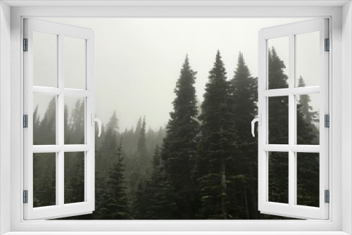 Fototapeta Naklejka Na Ścianę Okno 3D - Fog and trees