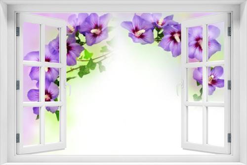 Fototapeta Naklejka Na Ścianę Okno 3D - flower frame