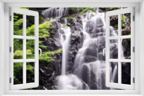 Fototapeta Naklejka Na Ścianę Okno 3D - 新緑の滝
