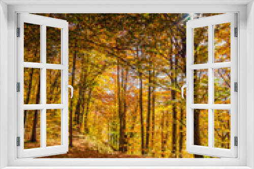Fototapeta Naklejka Na Ścianę Okno 3D - Majestic autumn landscape