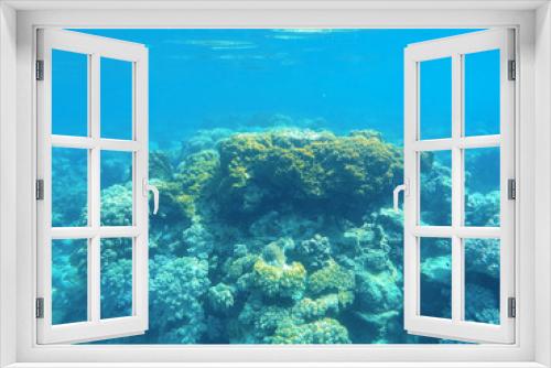 Fototapeta Naklejka Na Ścianę Okno 3D - Underwater landscape with coral reef formation. Tropical sea lagoon with diverse corals.