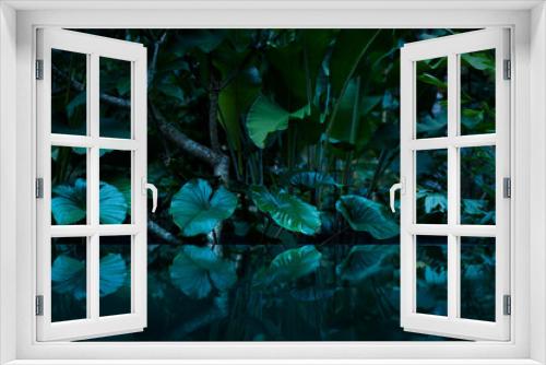 Fototapeta Naklejka Na Ścianę Okno 3D - tropical rain forest with water mirror