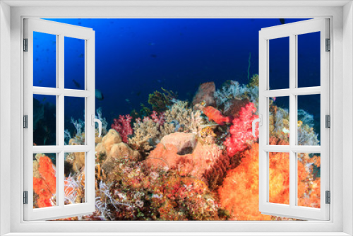 Fototapeta Naklejka Na Ścianę Okno 3D - Beautiful, colorful soft corals on a healthy tropical reef