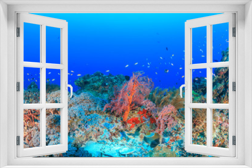 Fototapeta Naklejka Na Ścianę Okno 3D - Tropical fish on a deep, healthy coral reef