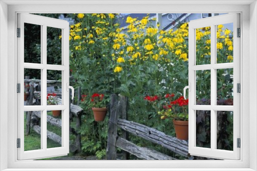 Fototapeta Naklejka Na Ścianę Okno 3D - Garden plants