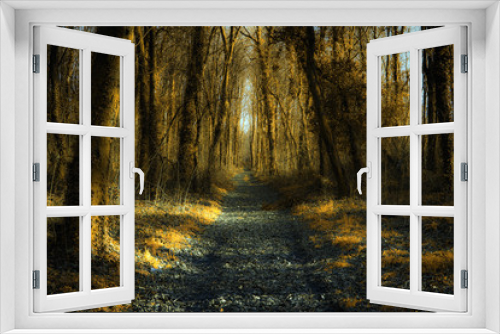 Fototapeta Naklejka Na Ścianę Okno 3D - The Golden Forest