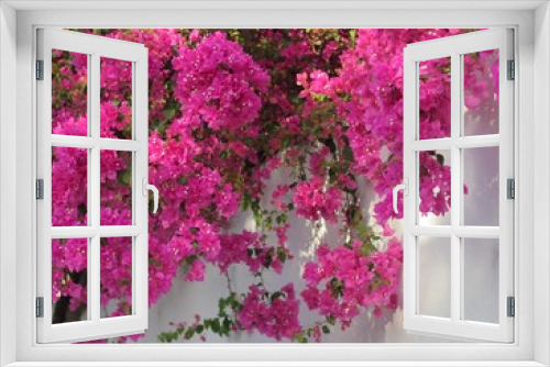 Fototapeta Naklejka Na Ścianę Okno 3D - Bright pink flowers on a white wall