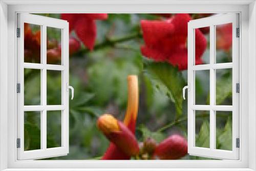 Fototapeta Naklejka Na Ścianę Okno 3D - Red Flowers