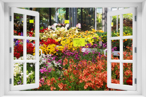 Fototapeta Naklejka Na Ścianę Okno 3D - Potted Flowers in a Greenhouse