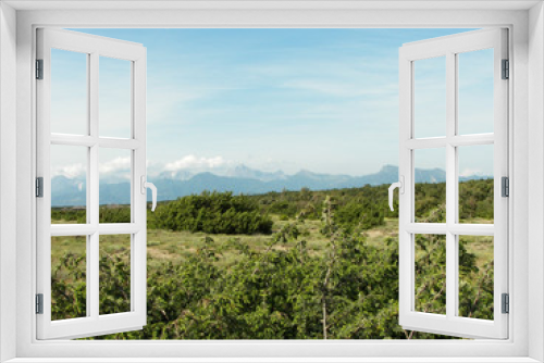 Fototapeta Naklejka Na Ścianę Okno 3D - Macchia Mediterranea, Parco di San Rossore