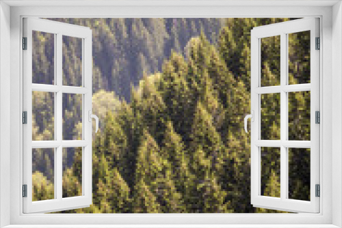 Fototapeta Naklejka Na Ścianę Okno 3D - Forest on the mountain